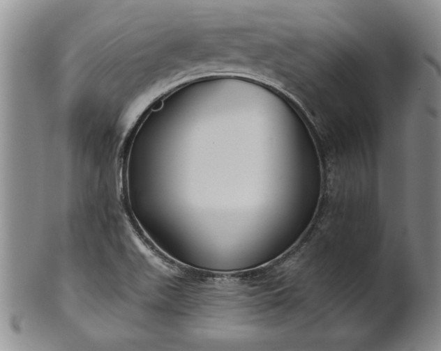 X0000100971511200807081206