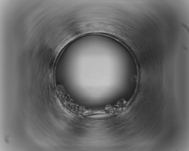 X0000100971513200807081206