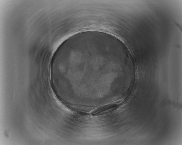 X0000100971515200807081206