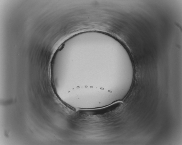 X0000100971516200807081206