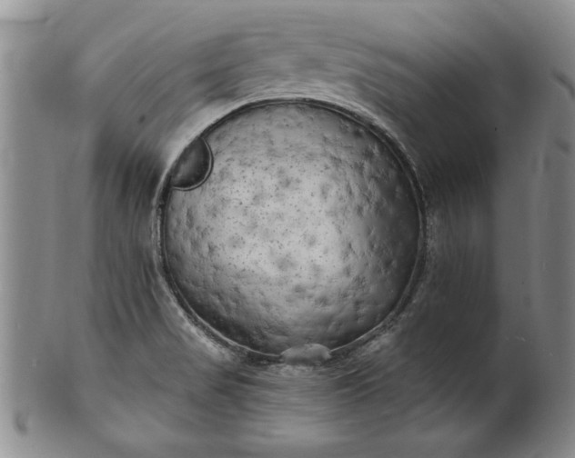 X0000100971517200807081206