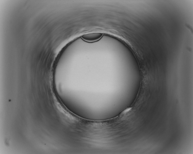 X0000100971518200807081206