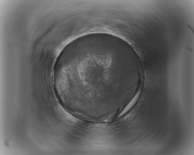 X0000100971519200807081206
