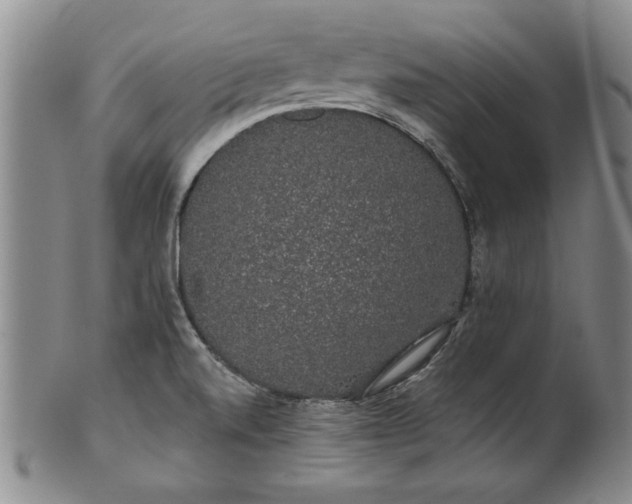 X0000100971520200807081206