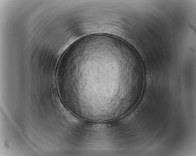 X0000100971521200807081206