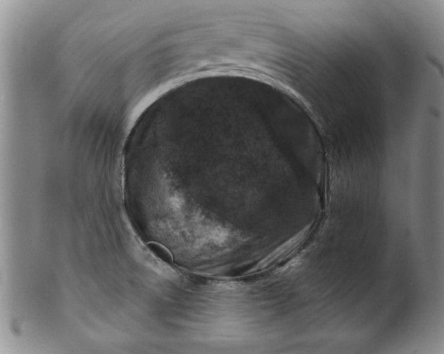 X0000100971522200807081206