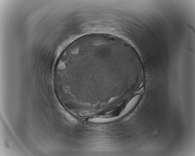 X0000100971525200807081206