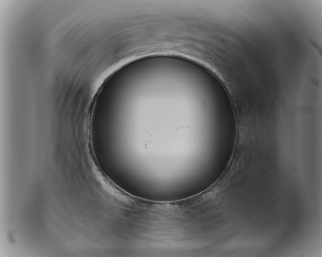 X0000100971526200807081207