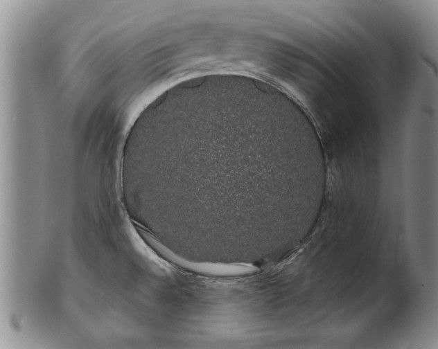 X0000100971528200807081207