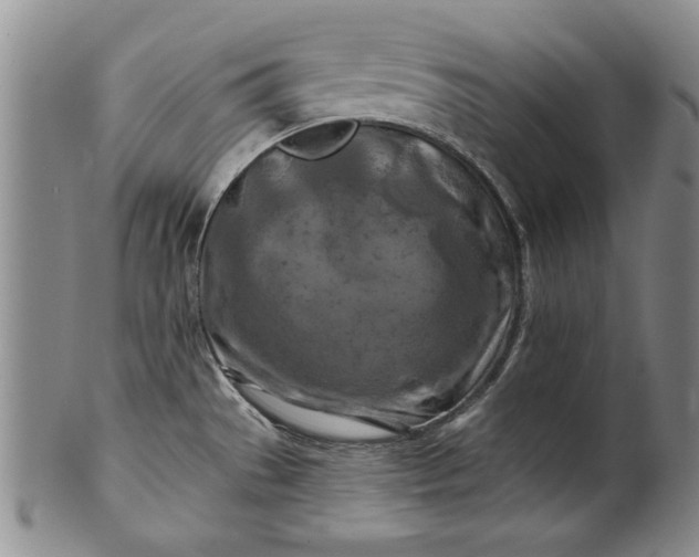 X0000100971529200807081207
