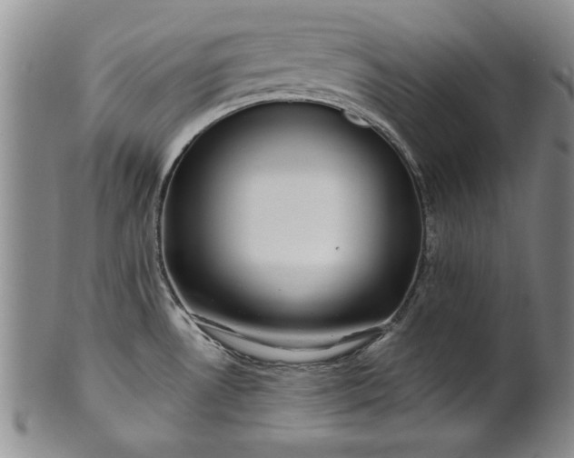 X0000100971530200807081207