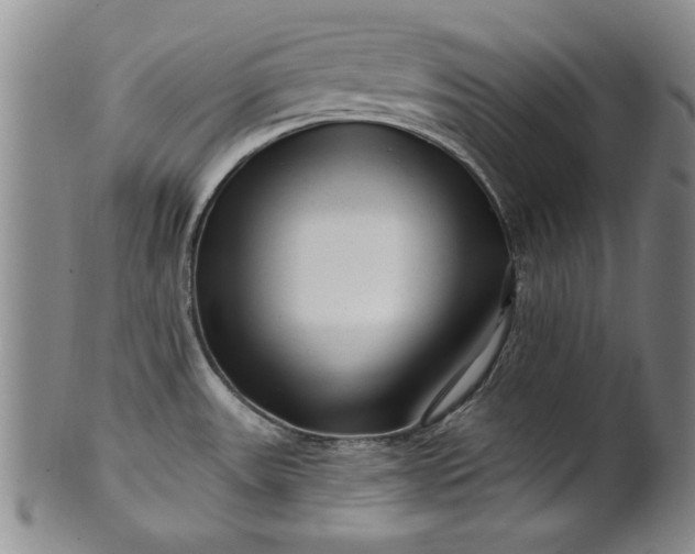 X0000100971531200807081207