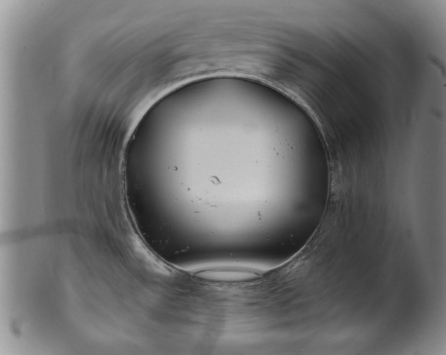 X0000100971532200807081207