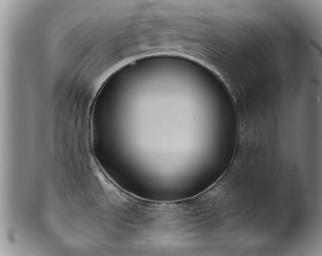 X0000100971534200807081207