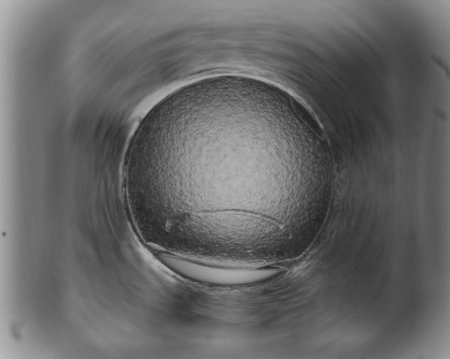 X0000100971535200807081207