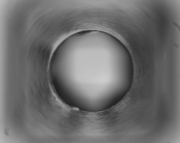 X0000100971536200807081207