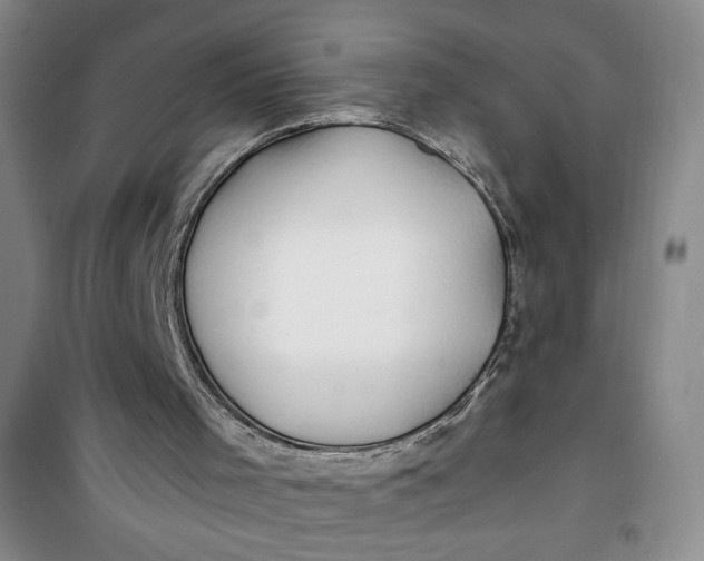 X0000100970001200807151402