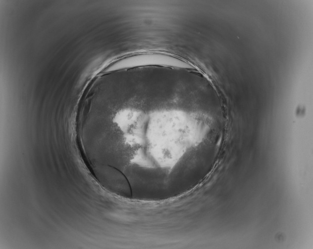 X0000100970002200807151402