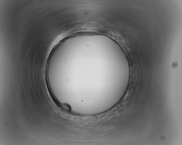 X0000100970003200807151402