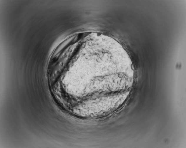 X0000100970004200807151402