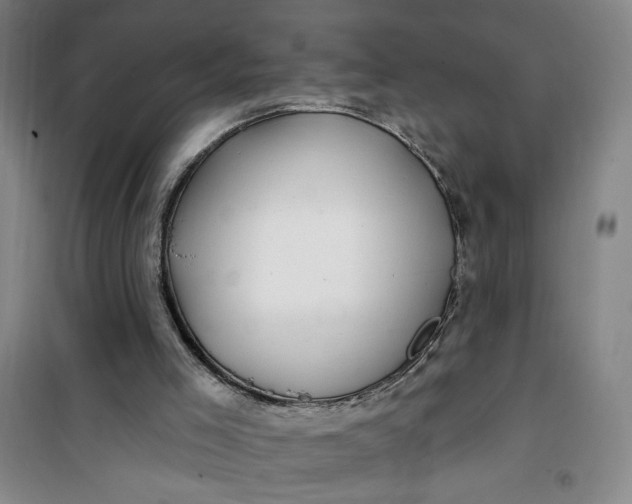 X0000100970005200807151402