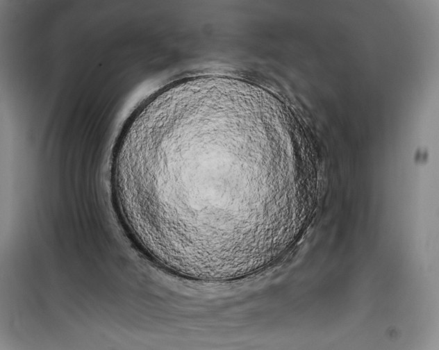 X0000100970006200807151402