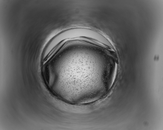 X0000100970008200807151402