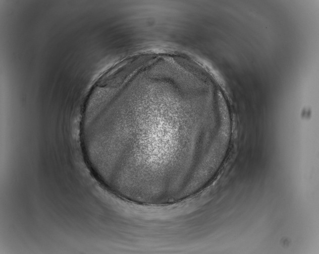X0000100970010200807151402