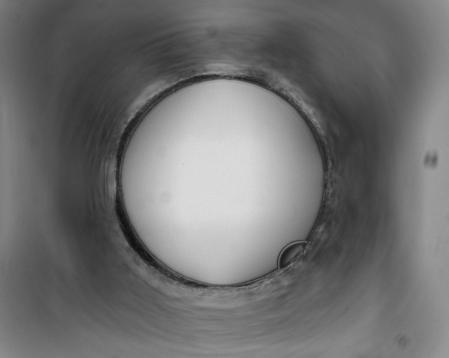 X0000100970011200807151402