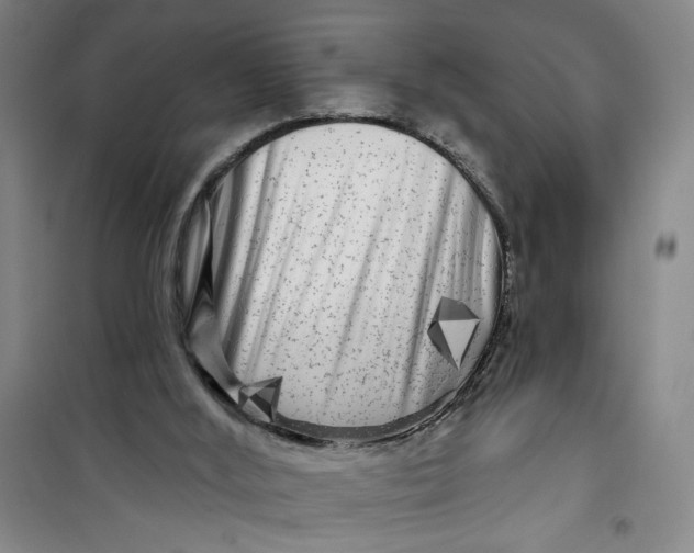 X0000100970012200807151402
