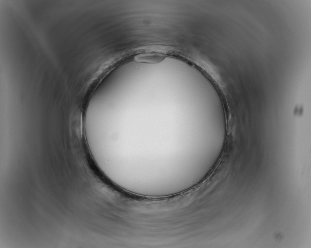 X0000100970013200807151402