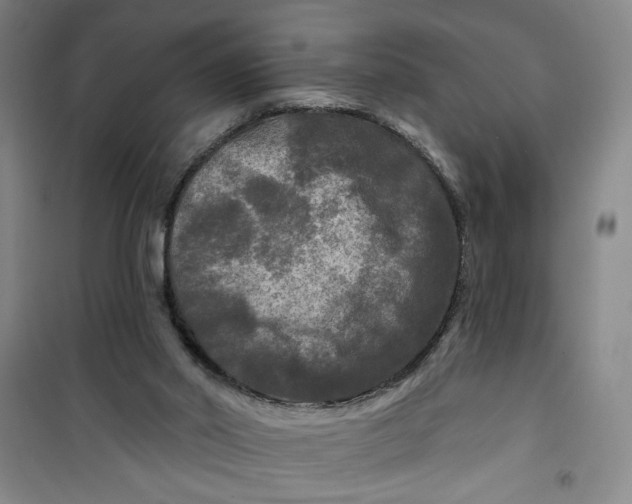 X0000100970014200807151402