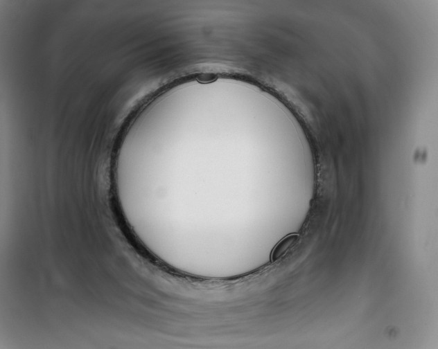 X0000100970015200807151402