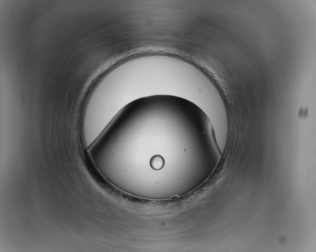 X0000100970016200807151402