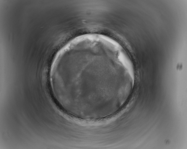 X0000100970018200807151402