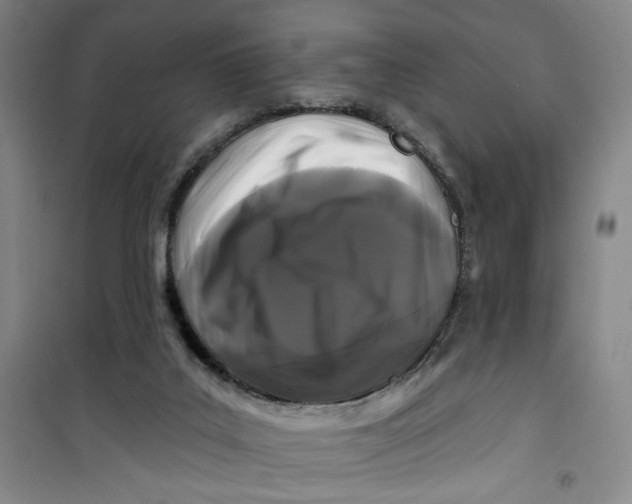 X0000100970019200807151402