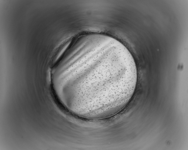 X0000100970020200807151402
