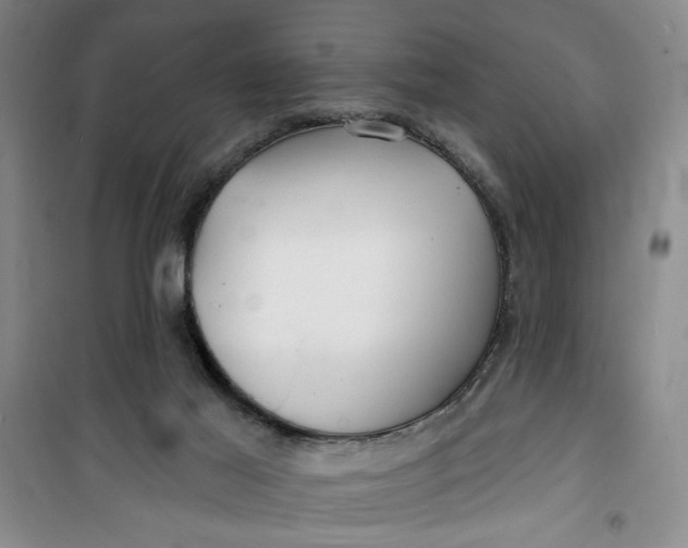 X0000100970021200807151402
