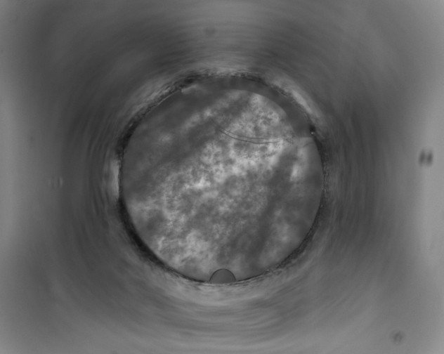 X0000100970022200807151402