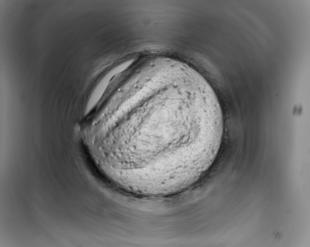 X0000100970024200807151402