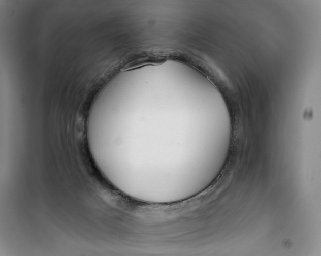 X0000100970025200807151402