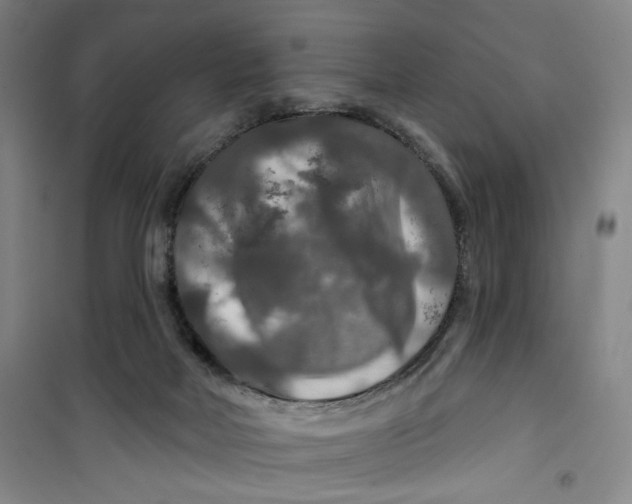 X0000100970026200807151402