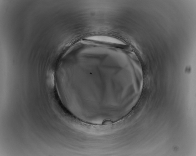 X0000100970027200807151402