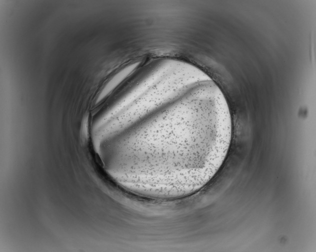X0000100970028200807151402