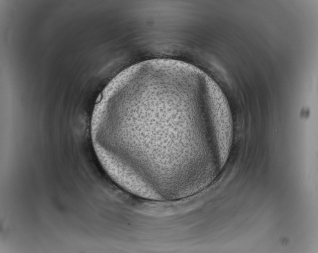 X0000100970029200807151402