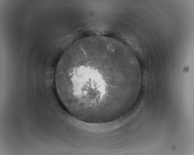 X0000100970030200807151402