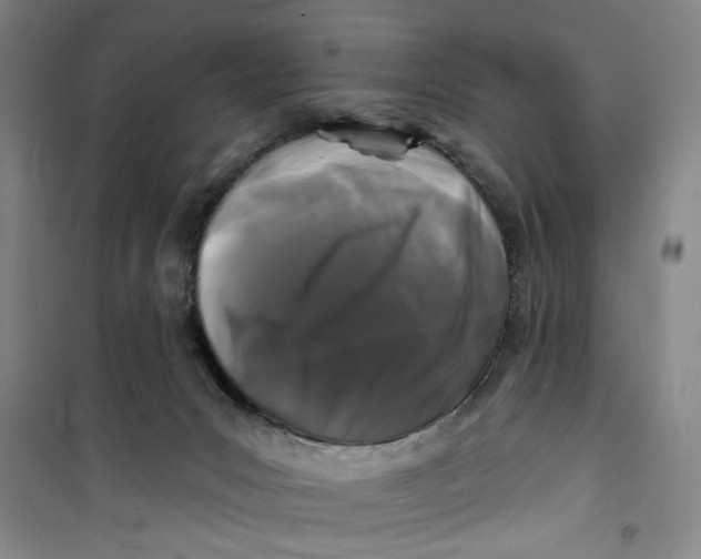 X0000100970031200807151402