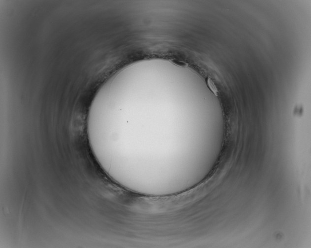 X0000100970033200807151402