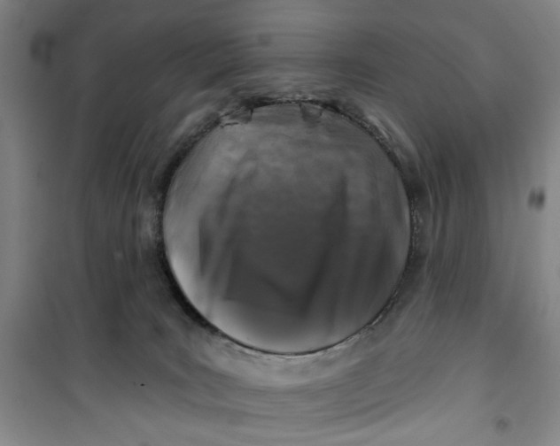 X0000100970035200807151402