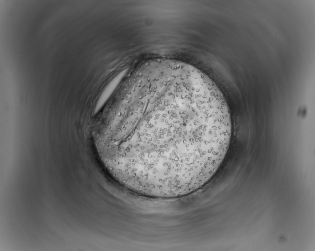 X0000100970036200807151402